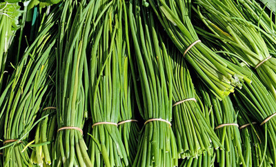 CYBEXIS PUAS-43 - Garlic Chive Herb - (750 Seeds) Seed(750 per packet)
