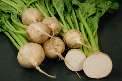 CYBEXIS Seeds of Vegetable Beetroot Avalanche F12000 Seeds Seed(2000 per packet)
