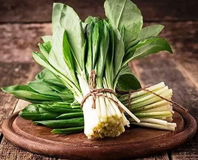 Biosnyg Disease-Resistant Ramsons Wild Garlic Seeds for Terrace Gardening-(750 Seeds) Seed(750 per packet)