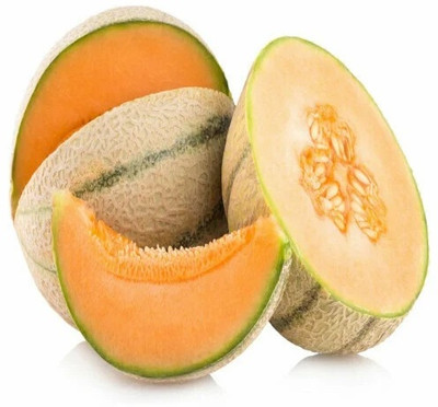 PLUSGREEN Muskmelon / Kharbooja Ke Beej Seed(100 per packet)