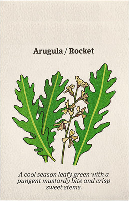 CYBEXIS LX-13 - Roquette Arugula Herb - (2250 Seeds) Seed(2250 per packet)