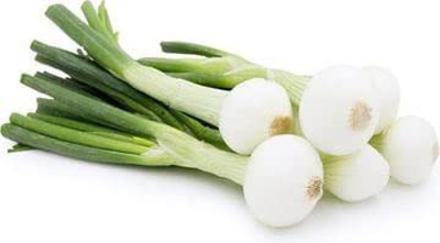WILLVINE NBIR-1418 Safed Pyaj Onion Seed-3000 Seeds Seed(3000 per packet)