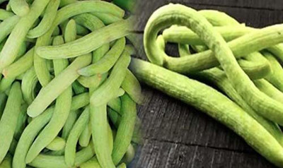 Qualtivate ICRA-4A Rare Cucumber Kakri Long Melon Seed(200 per packet)