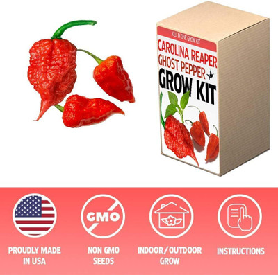 Qualtivate PUAS-7A Carolina Reaper & Ghost Pepper Chilli Growing Kit Seed(300 per packet)