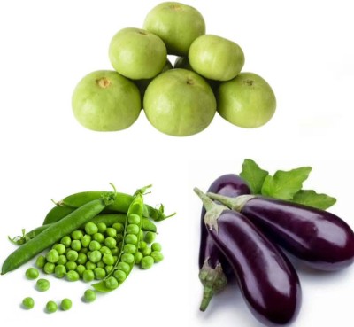 Garden Basket Hubb Matar(GreenPeas)-Begun(Brinjal)-Tinde(Round Melon) pack of 3 Seed(100 g)