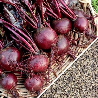 Aywal Beetroot Seed(1500 per packet)