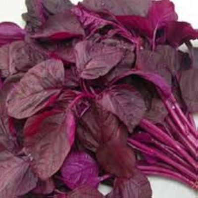 Arshiayat Red Amaranthus Seeds, Lal Saag, Red Spinach, Cholai Red Saag Seeds Seed(720 per packet)