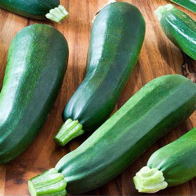 VibeX ® RXI-585 Squash Green/Zucchini Seed(100 per packet)