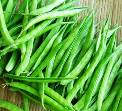 Avysa Guar (Cluster) Beans Seed(1000 per packet)