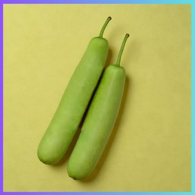 RUDRAAMAA Premium Long Bottle Gourd Seeds | Ghiya/Lauki Beej for Home Garden Seed(50 per packet)