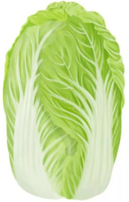 MYLAWN Cabbage Organic Seed(50 per packet)