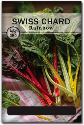 Biosnyg XCO-79 Rainbow Swiss Chard Seed-[200 Seeds] Seed(200 per packet)