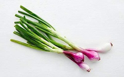 CYBEXIS Spring onion red seeds4000 Seeds Seed(4000 per packet)