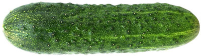 KNESSiN Boston Pickles Cucumber Seeds Seed(150 per packet)