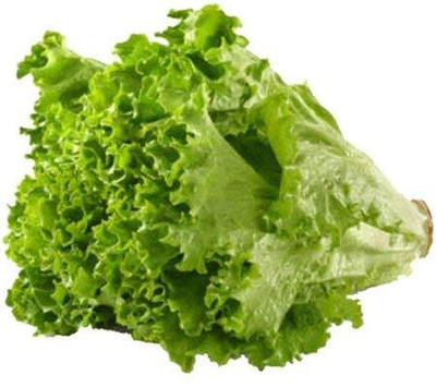 Aywal Gourmet Blend Lettuce Seed(75 per packet)