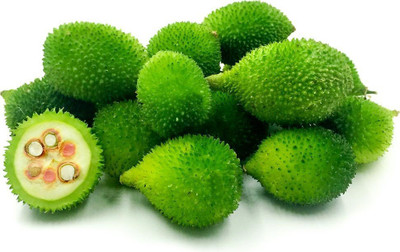Pbevergreen kakoda ka bij/kantola seeds 19 Seed(1009 per packet)