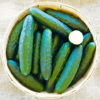 WILLVINE GBPUT-443 Cucumber Planting Seeds, Heirloom Seed(200 per packet)