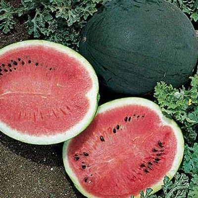 EMKOT Sweet and juicy watermelon fruit Seed(30 per packet)