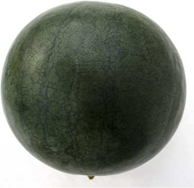 CYBEXIS LX-98 - Sugar Baby Watermelon - (1350 Seeds) Seed(1350 per packet)
