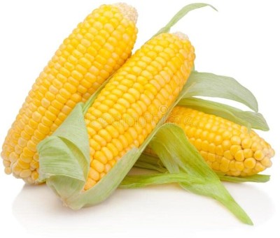 Aywal Golden Jubilee Yellow Sweet Corn Seed(450 per packet)
