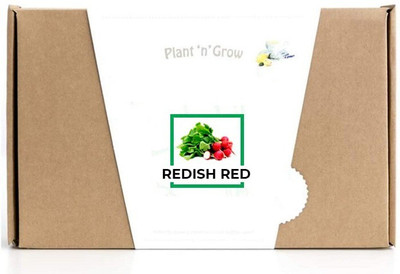 CYBEXIS Redish Red2000 Seeds Seed(2000 per packet)