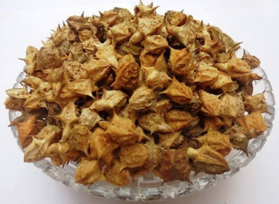 SAFRONI GOKHRU BIG- GOKHARU BADA - PEDALIUM MUREX – LARGE CALTROPS SEEDS Seed(500 g)