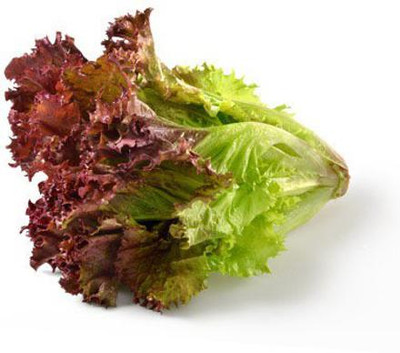 decorehomz Lettuce Red vegetable seeds 30 to 40 seeds in 1pack Seed(40 per packet)