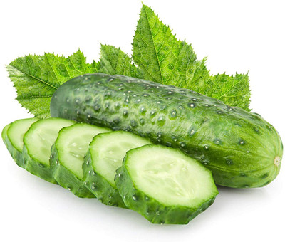 CYBEXIS Hybrid - Cucumber Seeds2000 Seeds Seed(2000 per packet)