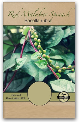 Qualtivate HYB-9A Red Malabar Spinach Seeds Seed(50 per packet)