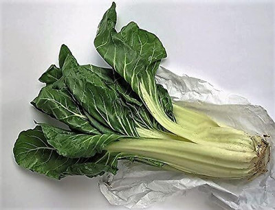 WILLVINE UCULLUS SWISS CHARD Beta Vulgaris White Perpetual Spinach Vegetable-[200 Seeds] Seed(200 per packet)