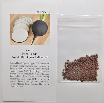 CYBEXIS NBIR-42 - Radish Nero Tondo(Black) - (2250 Seeds) Seed(2250 per packet)