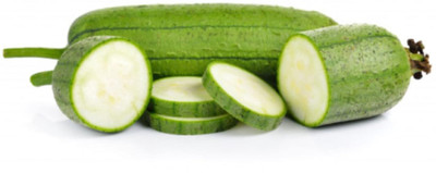 Qualtivate EXL-4AT F1 Hybrid Sponge Gourd Seeds Seed(50 per packet)
