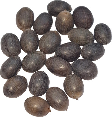 AA ENTERPRISES Kamal Gatta Lotus Seeds, Lotus Seeds Seed(21 per packet)