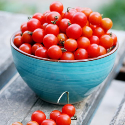Biosnyg Organic Bite Size Cherry Tomato Seeds For Kitchen Gardening - (2000 Seeds) Seed(2000 per packet)
