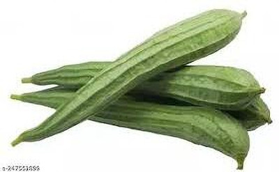 Paudhaa FI QUALITY RIDGE GOURD Seed(10 per packet)