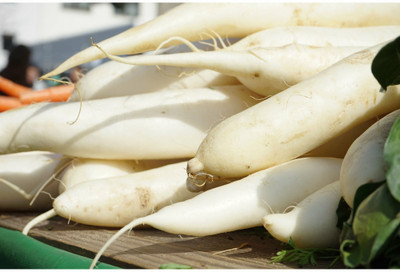 VINTI White Icicle Radish Seed(2000 per packet)