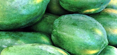 Aro Papaya, Papita Seed(30 per packet)