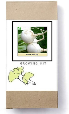 Biosnyg Turnip White Egg-[250 Seeds] Seed(250 per packet)