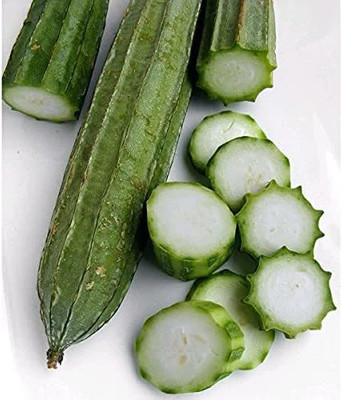 CYBEXIS VXI-19 - Acutangula Angled Ridge Gourd Turai - (300 Seeds) Seed(300 per packet)