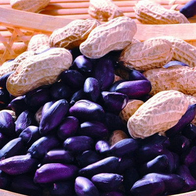 CYBEXIS Home Farm Garden Plant Black Peanut Seeds Heirloom 2000 Seeds Seed(2000 per packet)
