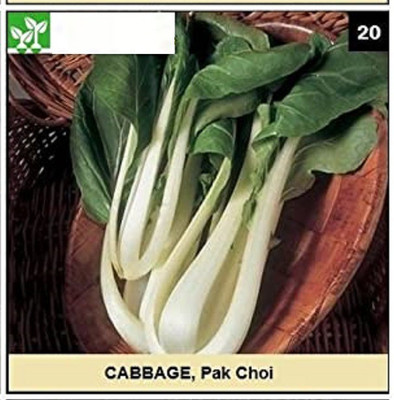 CYBEXIS PAK CHOI CABBAGE500 Seeds Seed(500 per packet)