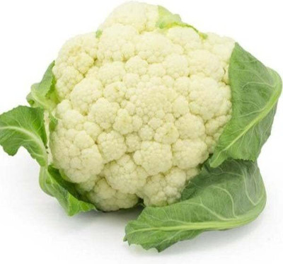 Aywal फूल गोभी Cauliflower Phool Gobhee/Phul Gobhi Seed(400 per packet)