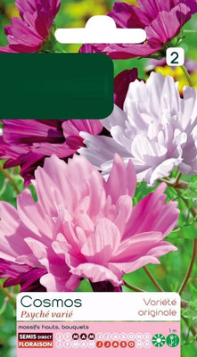 CYBEXIS Seeds Cosmos Psyche Seed(1 g)
