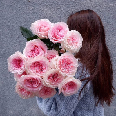 CYBEXIS LXI-73 - Litchi Rose - (100 Seeds) Seed(100 per packet)