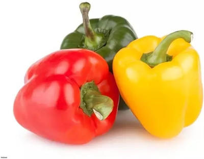 Quentova Capsicum Seeds Seed(100 per packet)