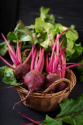 Chalisa Agencies Beetroot Seed(87 per packet)