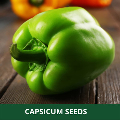 VibeX VXI-53 - Capsicum California Wonder - (1350 Seeds) Seed(1350 per packet)