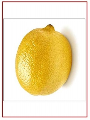 CRGO LEMON , NIMBU Seed(12 per packet)