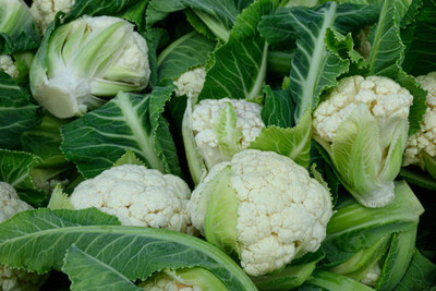 Fabkart white cauliflower,gobhee seeds Seed(40 per packet)