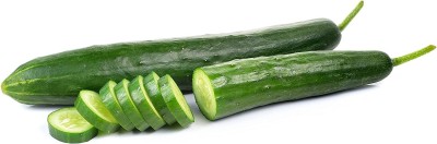 VibeX ® XLR-618 Crisp and Sweet “Beit Alpha” Cucumber Seeds Seed(200 per packet)